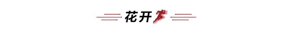花开 条.jpg